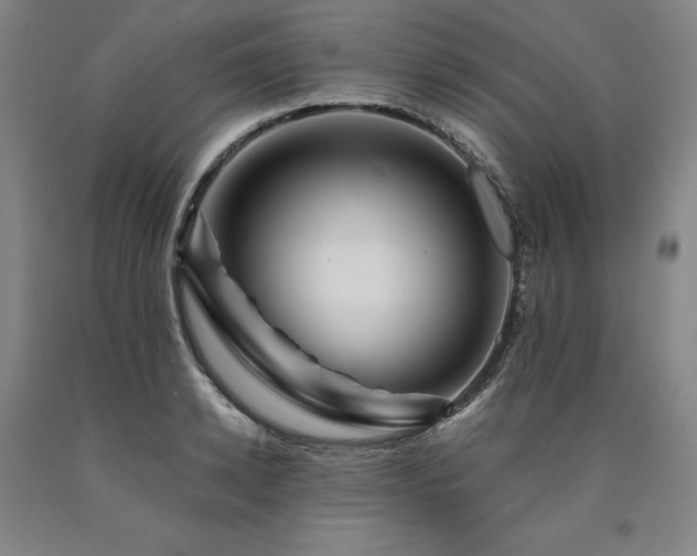 X0000090930942200707301552