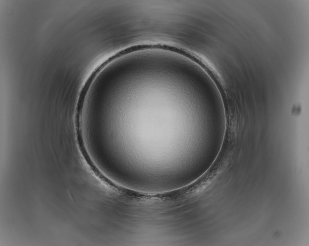 X0000090930943200707301552