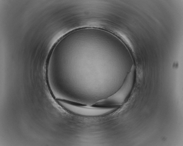 X0000090930944200707301552