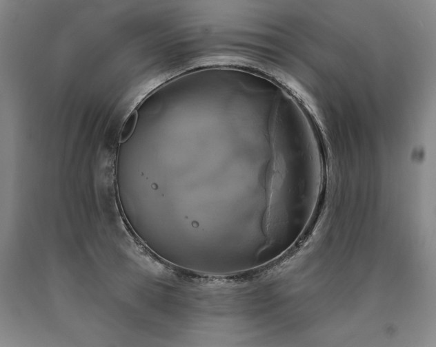 X0000090930945200707301552