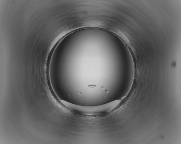 X0000090930947200707301552