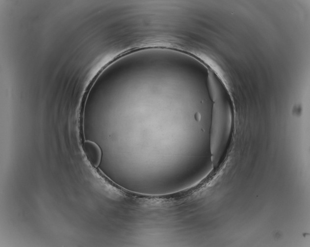 X0000090930949200707301552
