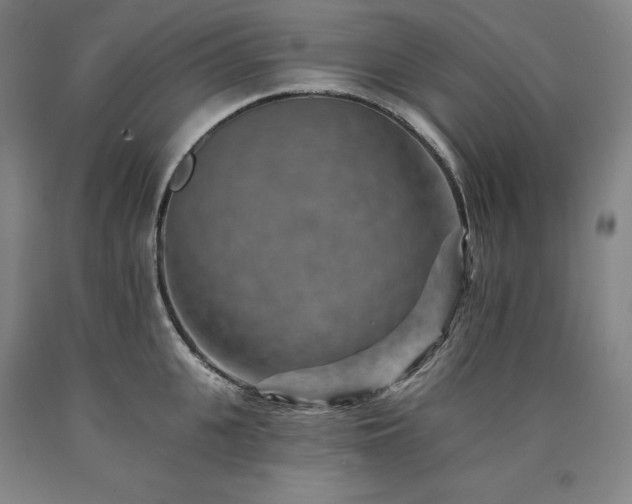 X0000090930951200707301552