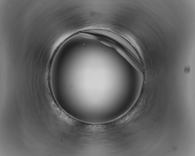 X0000090930952200707301552