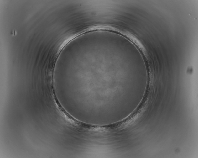 X0000090930953200707301552