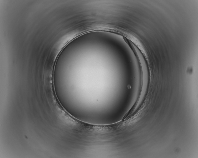 X0000090930954200707301552
