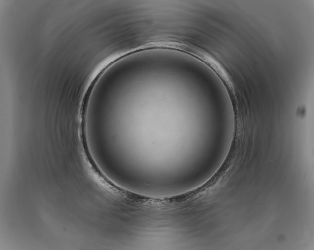 X0000090930955200707301552