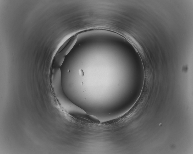 X0000090930956200707301552