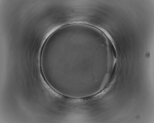 X0000090930957200707301552