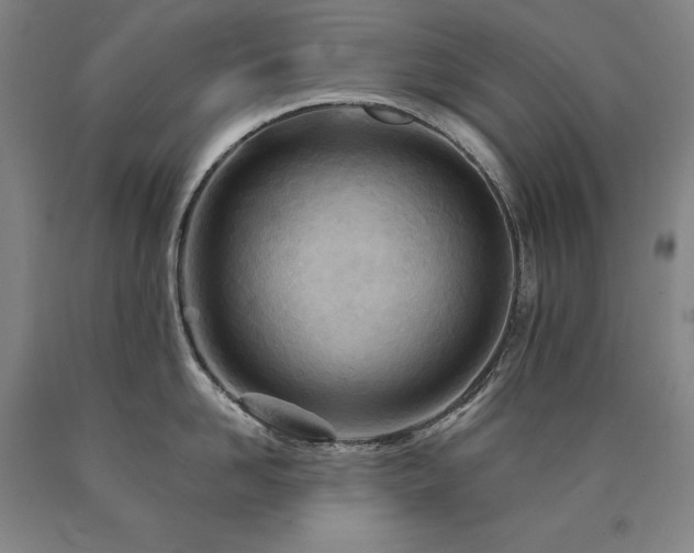 X0000090930958200707301552