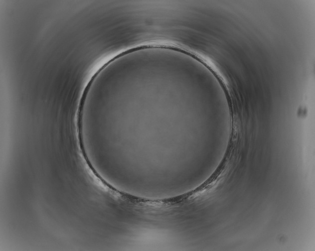 X0000090930959200707301552
