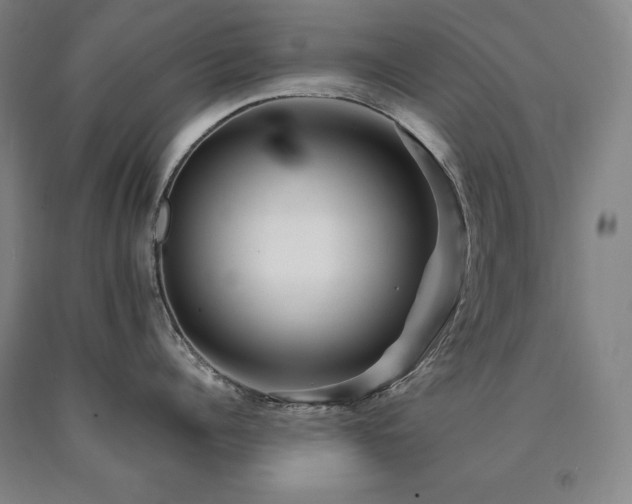 X0000090930960200707301552
