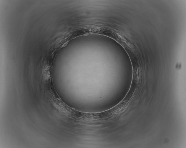 X0000090930962200707301551
