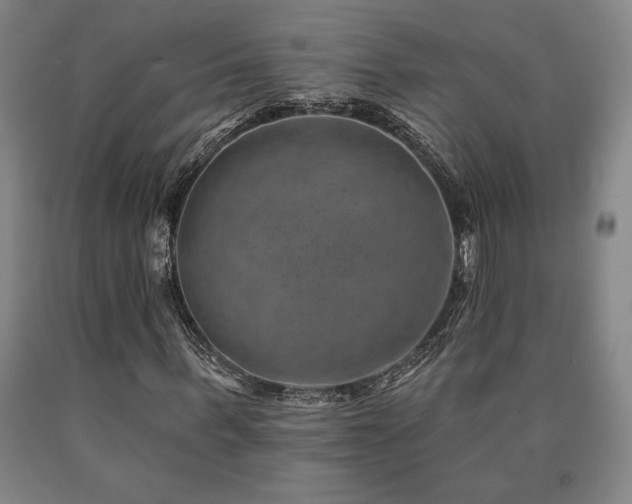 X0000090930963200707301551