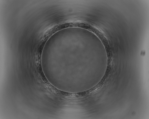 X0000090930966200707301551