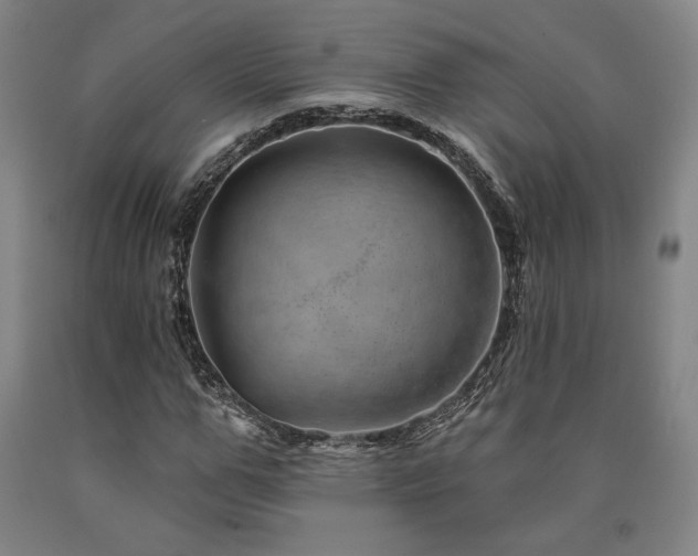 X0000090930967200707301551