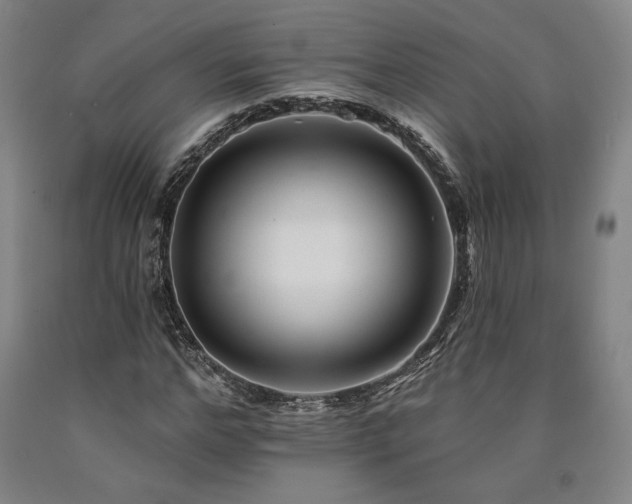 X0000090930968200707301551