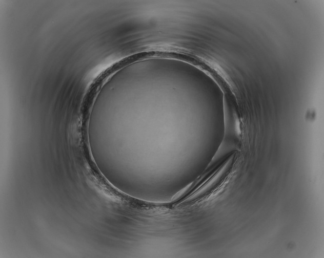 X0000090930971200707301551