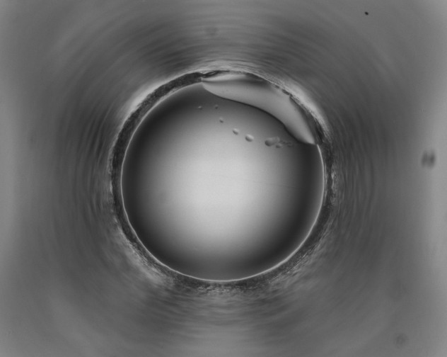 X0000090930972200707301551
