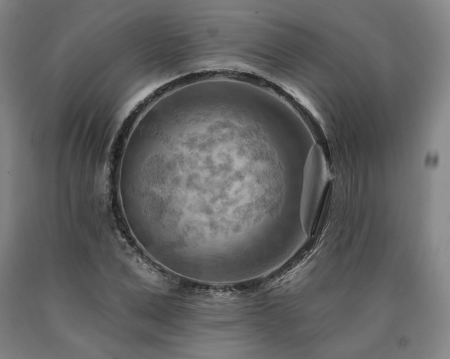X0000090930975200707301551