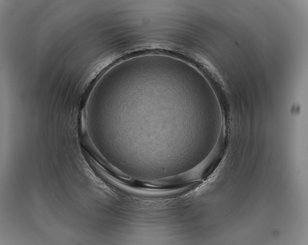 X0000090930977200707301551