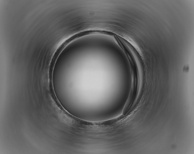 X0000090930980200707301551