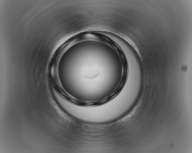 X0000090930981200707301551
