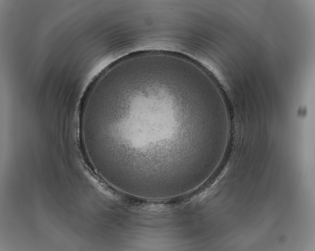 X0000090930982200707301551