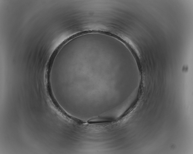 X0000090930983200707301551