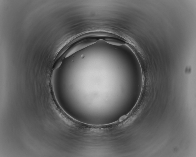 X0000090930985200707301551