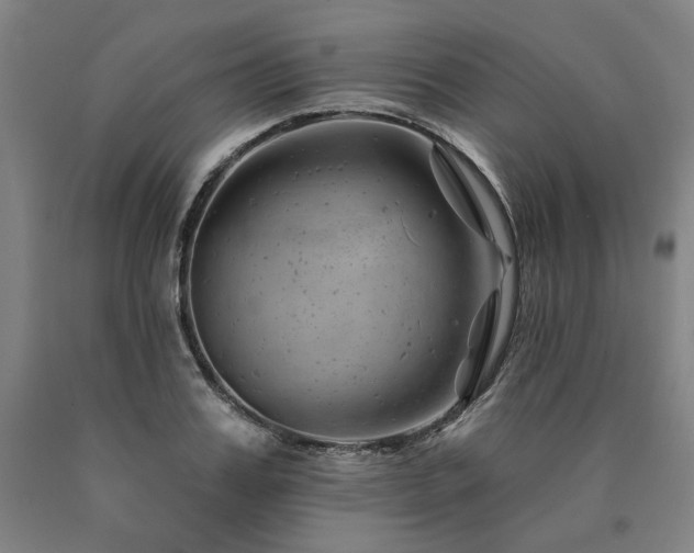 X0000090930987200707301551