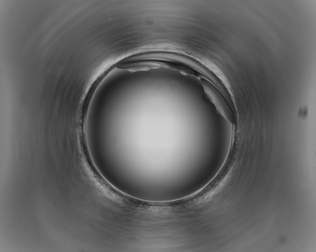X0000090930989200707301551