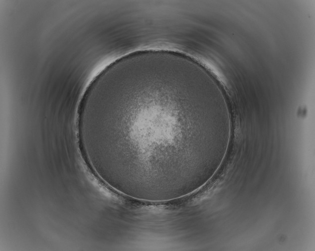 X0000090930990200707301551