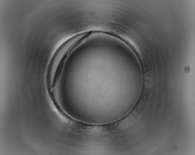 X0000090930991200707301551