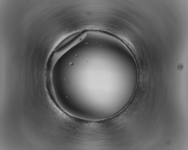 X0000090930992200707301551