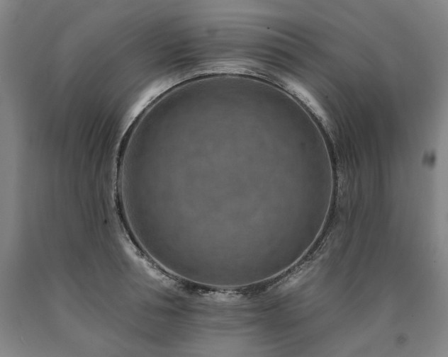 X0000090930994200707301551