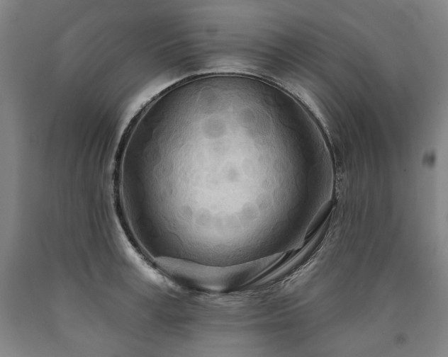 X0000090930995200707301551