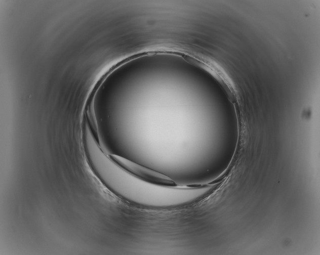 X0000090930996200707301551
