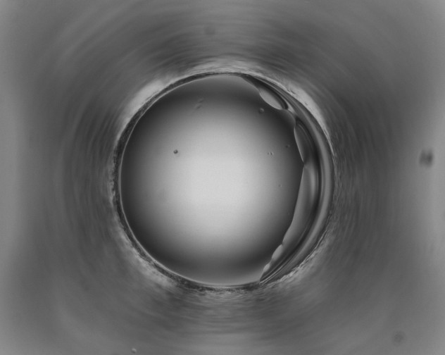 X0000090930997200707301551