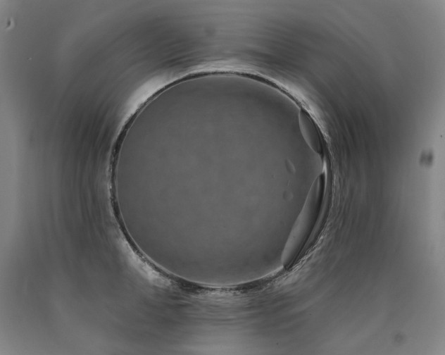X0000090930998200707301551