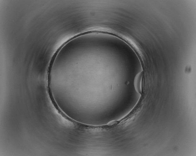 X0000090930999200707301551