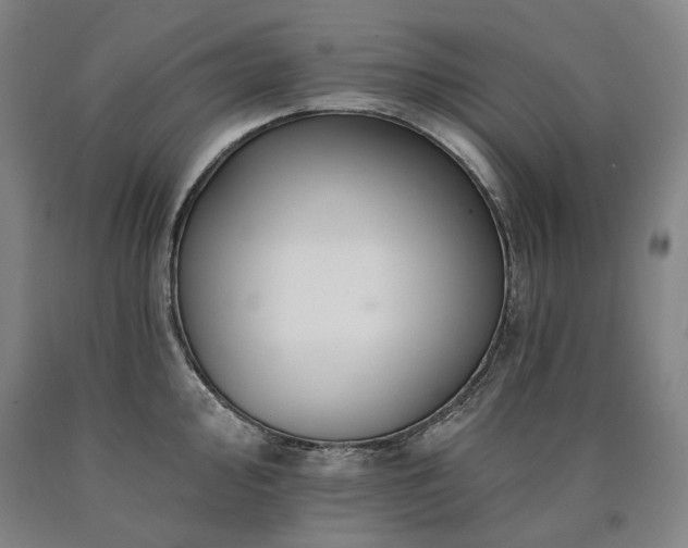 X0000090931000200707301551