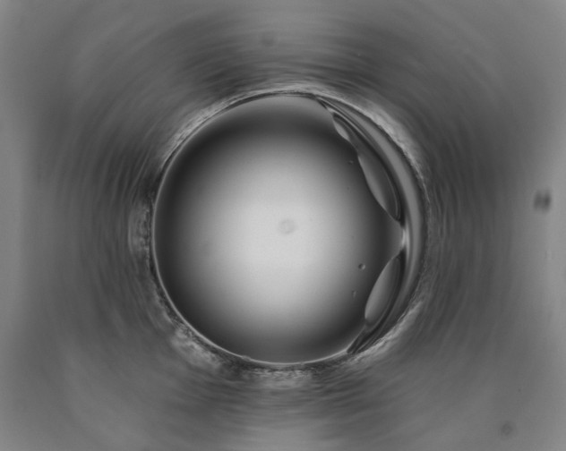 X0000090931001200707301551