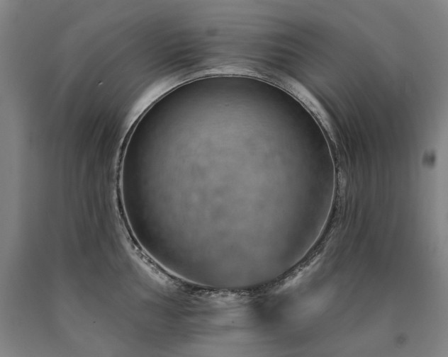 X0000090931002200707301551