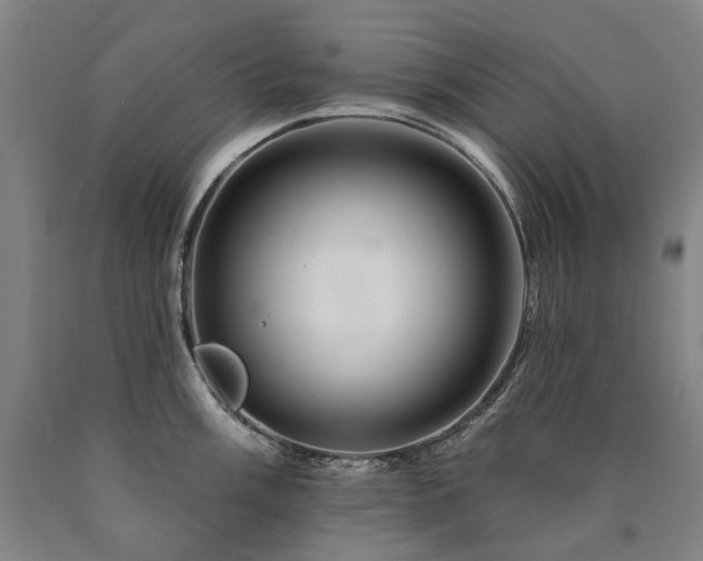 X0000090931003200707301551
