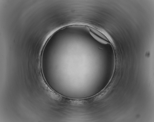 X0000090931004200707301551