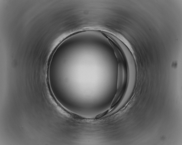 X0000090931005200707301551