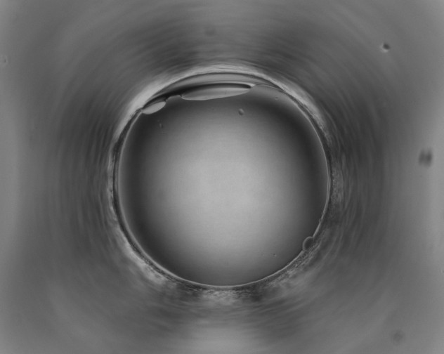X0000090931006200707301551