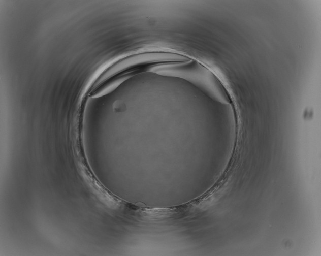 X0000090931008200707301551