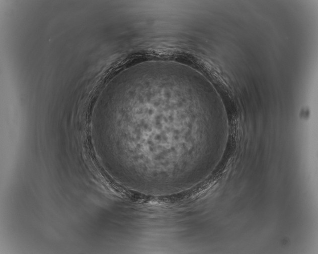 X0000090931009200707301550